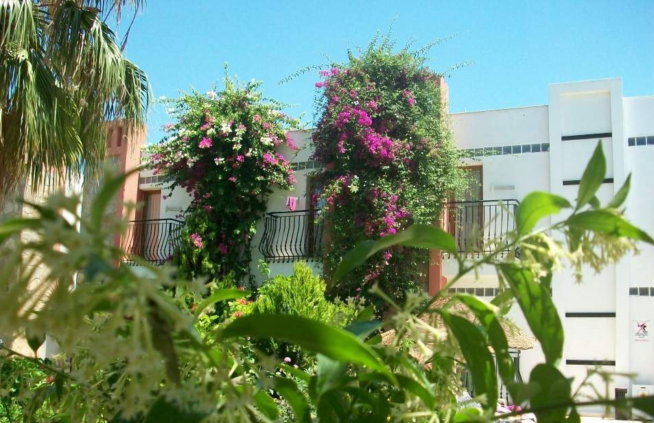 Kriss Otel Ortakent Exterior photo